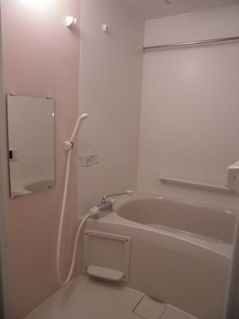 レオネクストグランツール お風呂