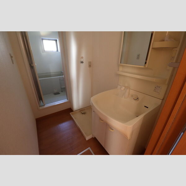 シェル・アジュール105号室 洗面所