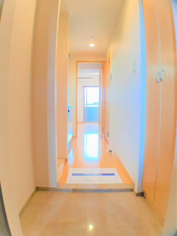 レジディア島津山6階 玄関