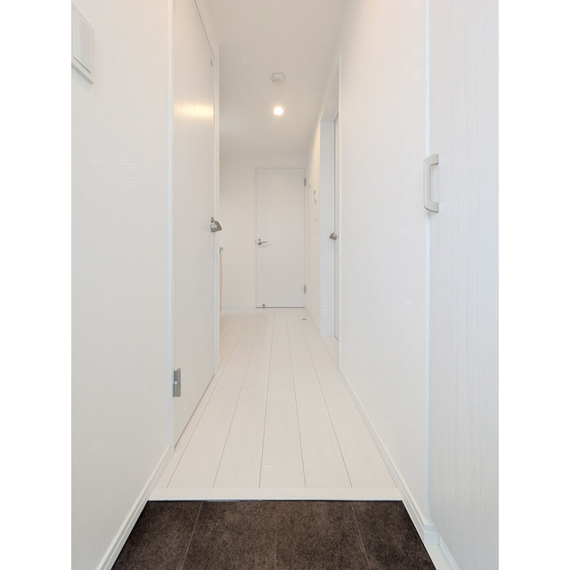 MQuarto柏Ⅲ206号室 玄関