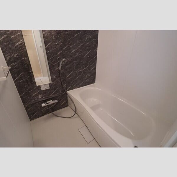 Ferro　Pino306号室 バスルーム