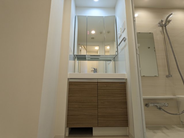 アジールコート板橋本町0802号室 洗面