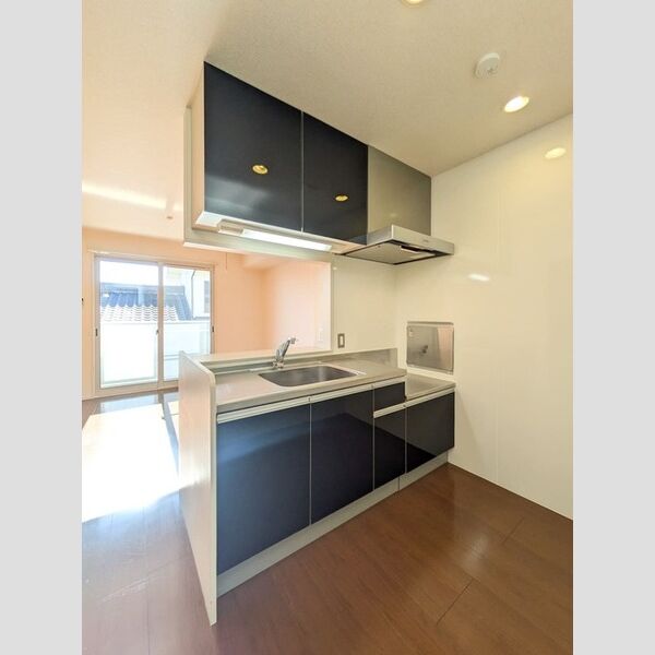 ドエルK キッチン