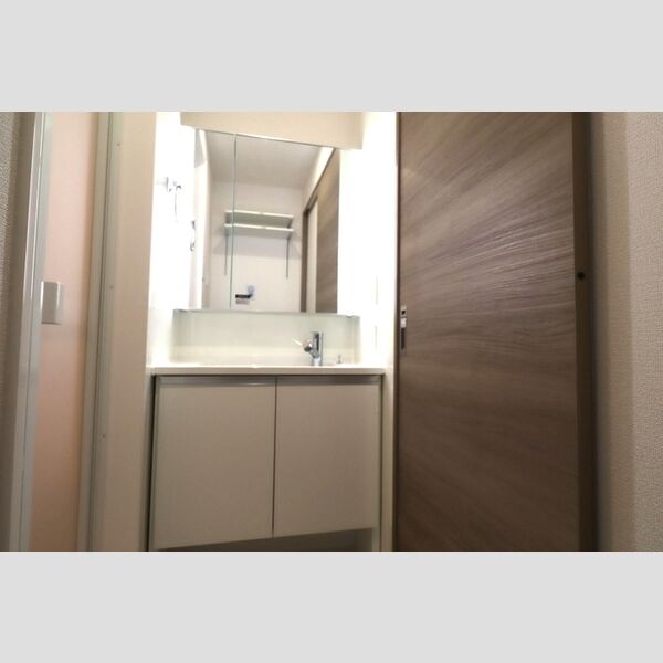 セレスティア西瑞江103号室 洗面所