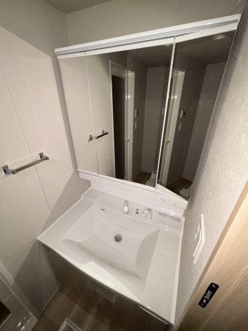 グランディアラフィーネ306号室 洗面