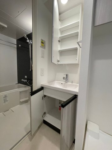DIPS野方RESIDENCE903号室 洗面