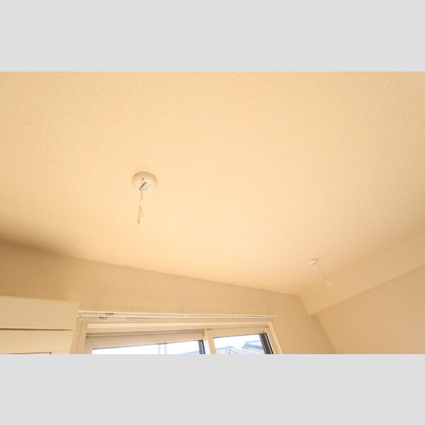 ファースト キャロベリー 室内物干し