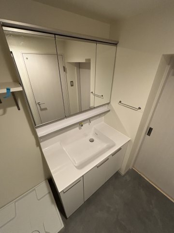 アールリエット武蔵境クラフト106号室 洗面