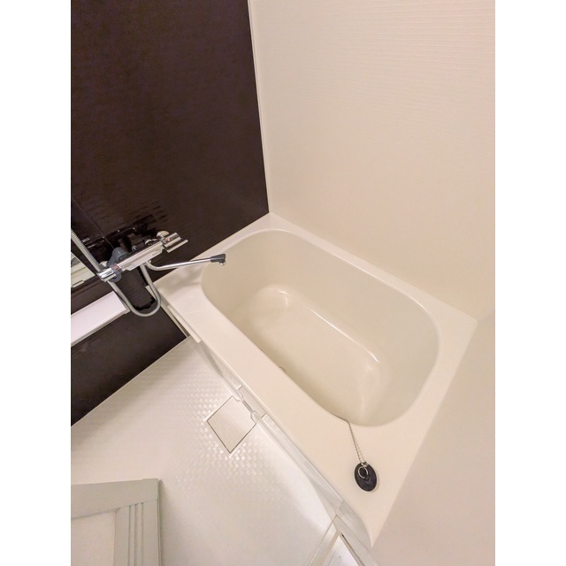 プレール・ドゥーク横濱子安403号室 ※各階で色合いが異なります