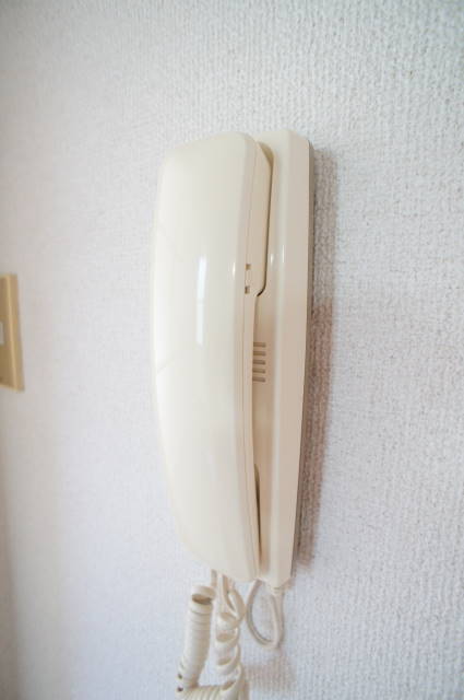 コーポ白百合　Ｅ棟E202号室 セキュリティ