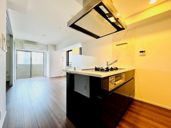 コンシェリア新橋 ＭＡＳＴＥＲ’Ｓ ＶＩＬＬＡ15階 キッチン