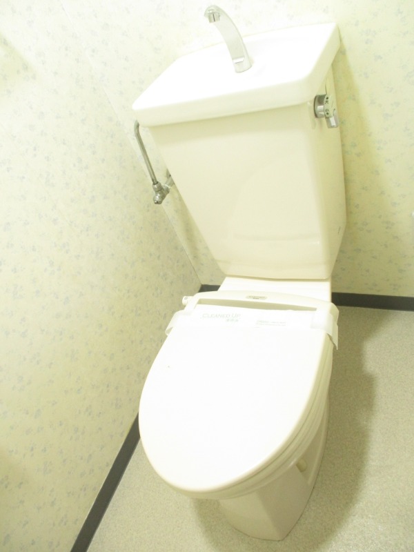 ヒルズヴァンベールD棟 トイレ