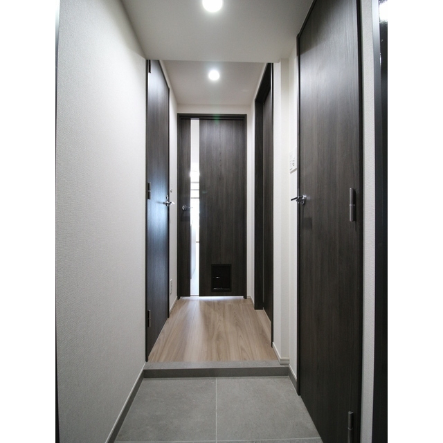 プレール・ドゥーク亀戸Ⅵ1007号室 玄関