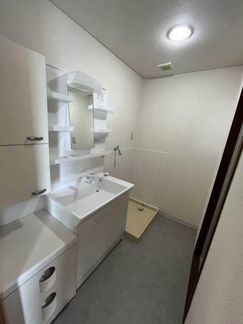 太陽辻堂マンション0302号室 洗面