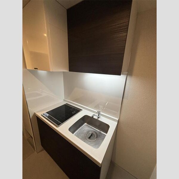 MAXIVbasic亀戸 玄関