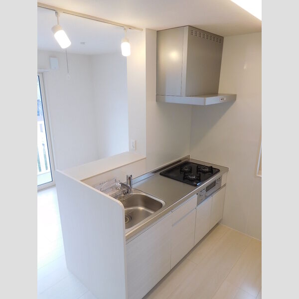 フィオーレ/ルミエール　フィオーレ201号室 キッチン