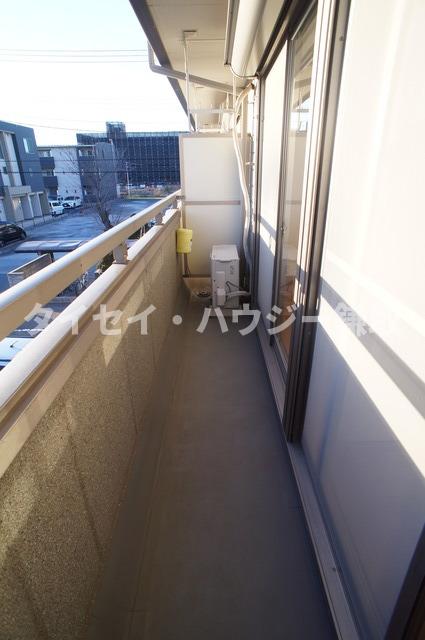 メゾン・ピエール・プルミエ0203号室 南西向きバルコニーで洗濯物干すのに良いです！
