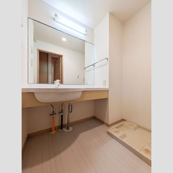 ルインズ・イン・マルヤマ　ABCDEFE103号室 洗面