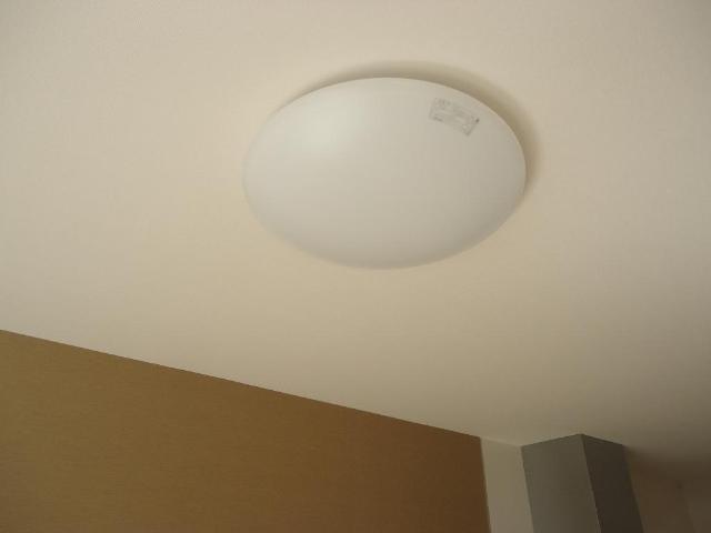 エルアージュ201号室 照明（イメージ）