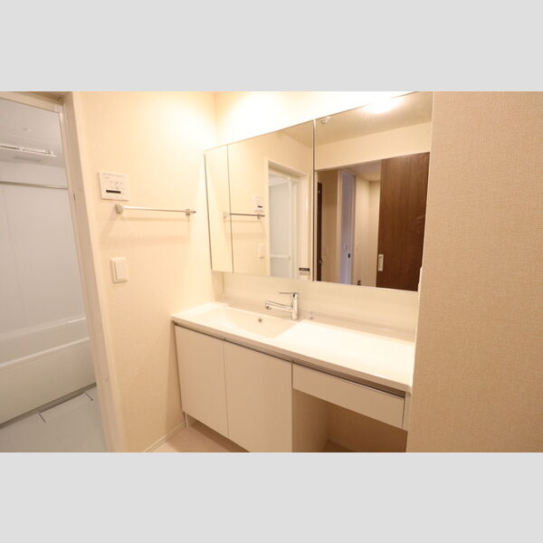 D-roomちはら台E 洗面所