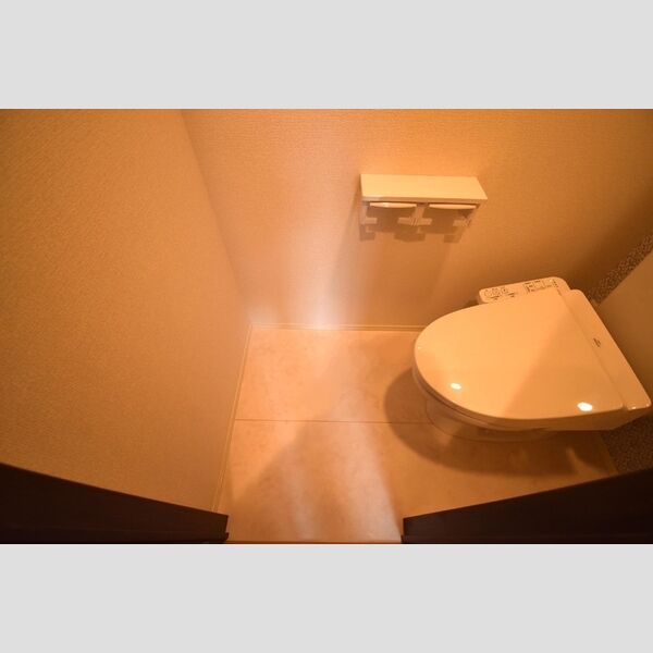 ル クレール101号室 トイレ