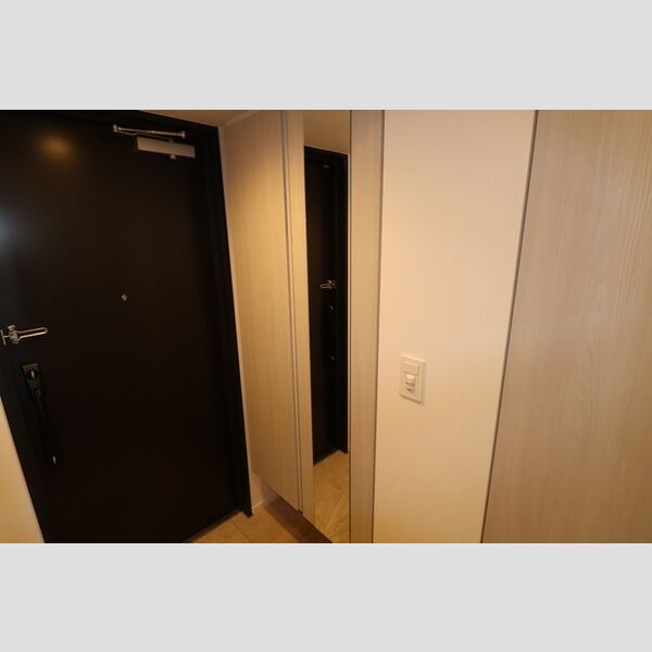 THE RejuvePort KISARAZU0702号室 玄関