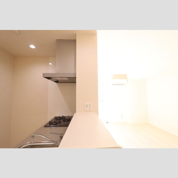 サイドコート105号室 キッチンカウンター