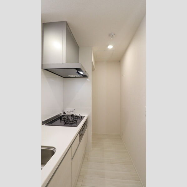 ビーネ北坂戸101号室 キッチン周辺