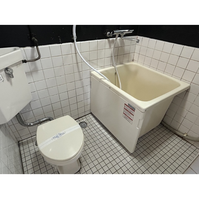 イワモトビル　ホワイトコーポラス102号室 同建物別部屋の参考画像