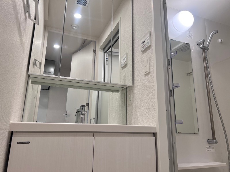 ドムス・スタイル高田馬場3階 洗面