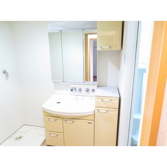 ロイヤルヒルズ浦和 洗面所