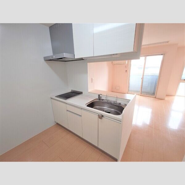 サウスユーコート202号室 システムキッチン