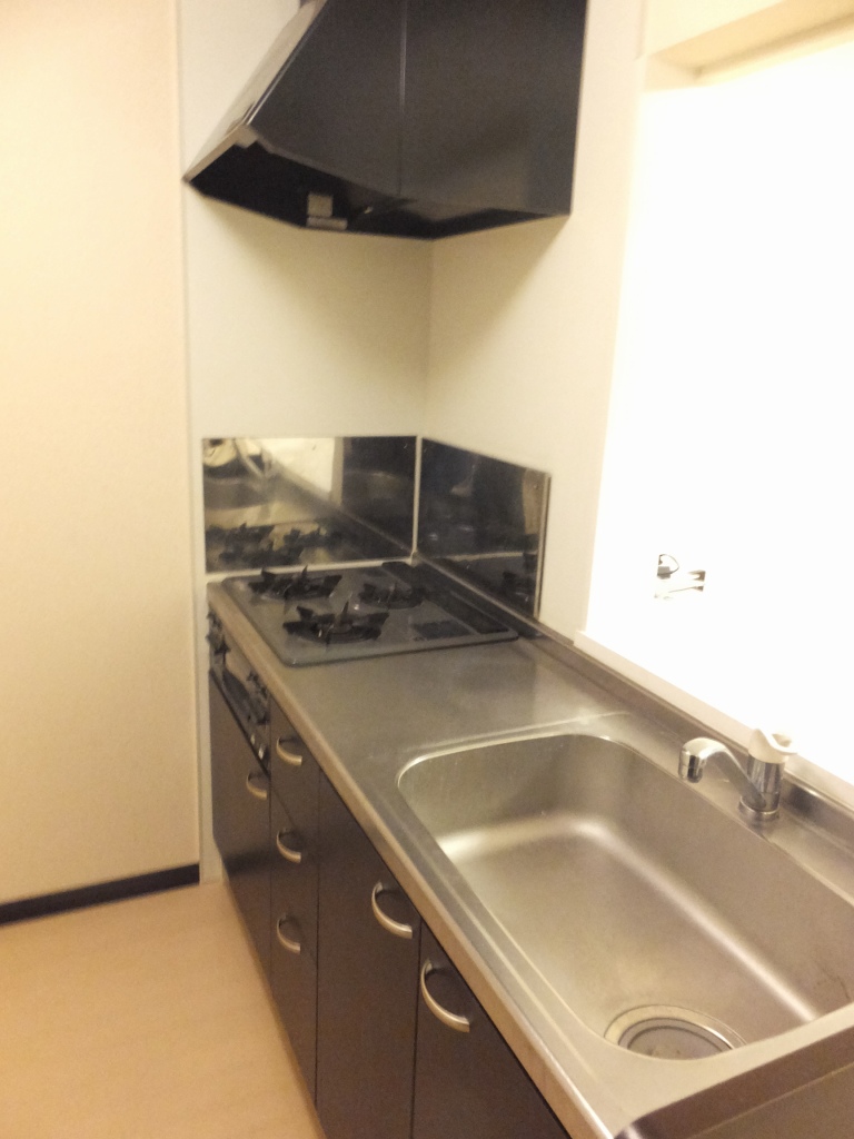 レオネクスト北鴻巣 外観