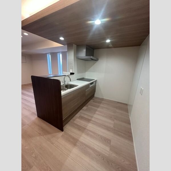 センカⅢ207号室 システムキッチン