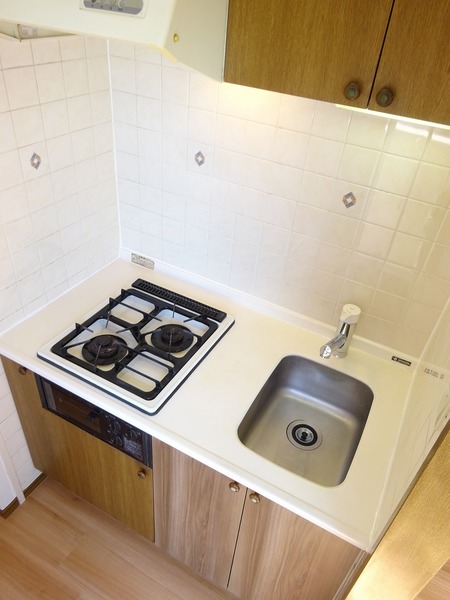 エクセルシオール荻窪501号室 キッチン