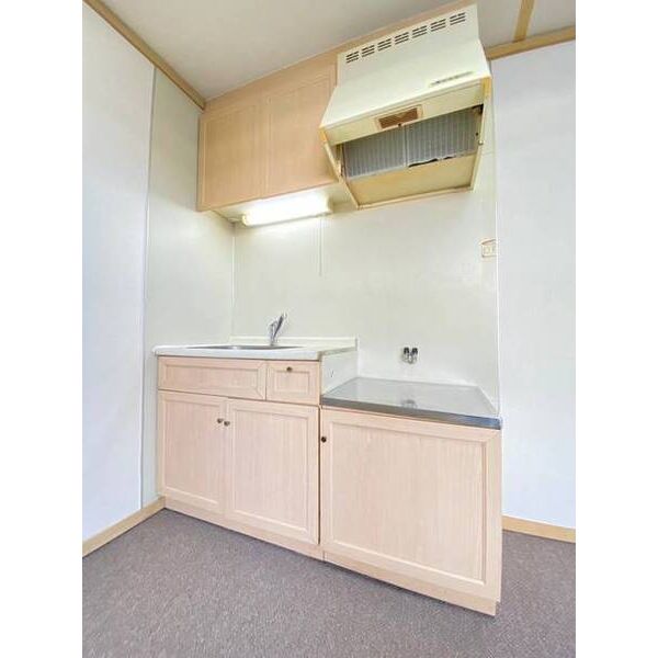 エクセレントひばりが丘B0103号室 キッチン