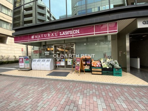 パレステュディオ銀座二丁目 【コンビニエンスストア】ナチュラルローソン 銀座二丁目店まで96ｍ