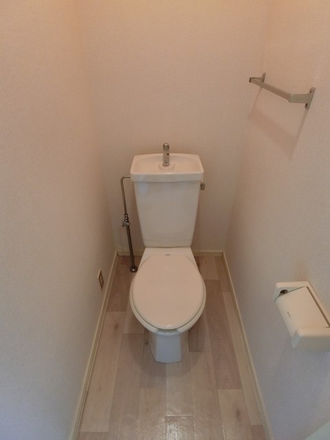 コリーナヴェルデ0103号室 トイレ