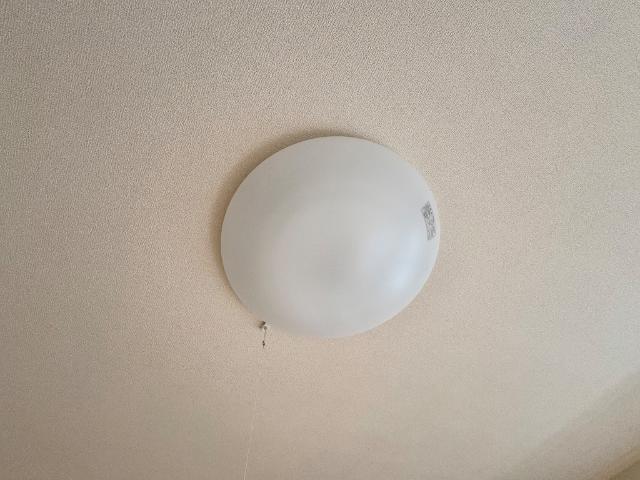 ワイズ　パラシオン00101号室 照明