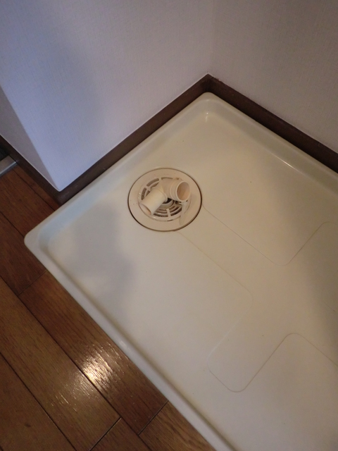 グランディオール白楽0207号室 内観