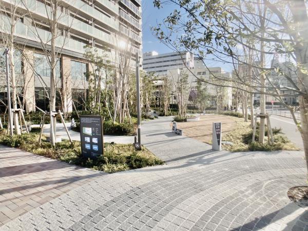 Ｂｒｉｌｌｉａ　聖蹟桜ヶ丘　ＢＬＯＯＭＩＮＧ　ＴＥＲＲＡＣＥ4階 部屋その他