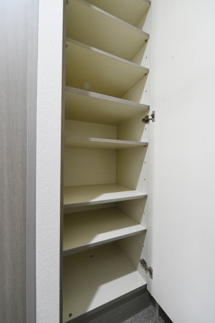 ライオンズプラザ上野毛2階 靴入