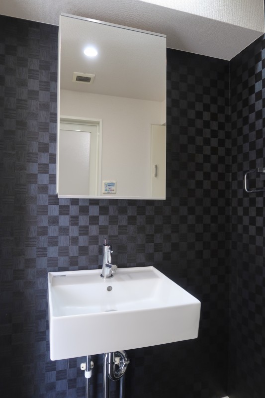 ハイリーフ上野6階 洗面