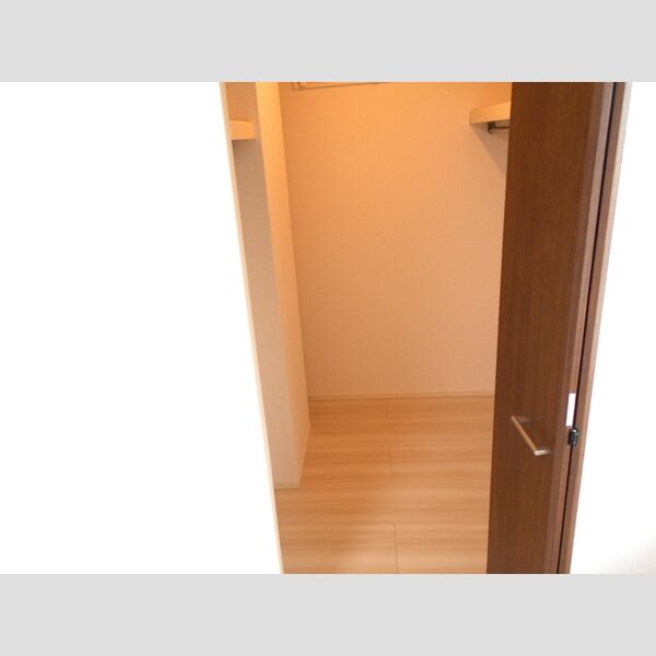 ロイジェントパークス草加手代　C103号室 ウォークインクローゼット