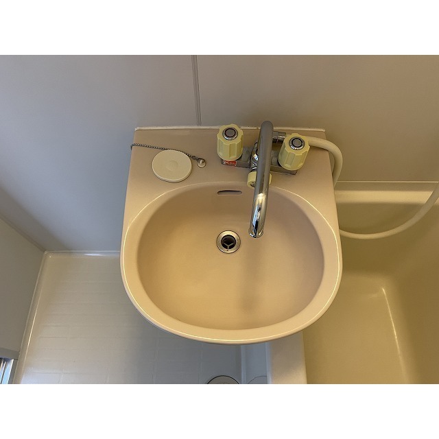 シーサイドカモシタ 洗面所