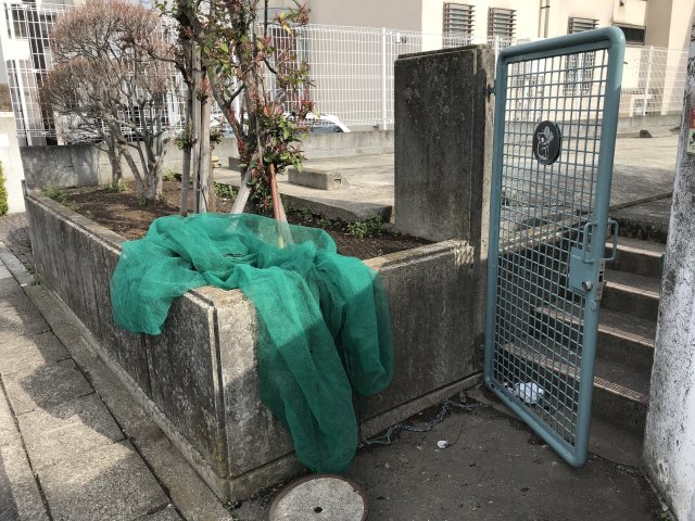 グリーンハウスＮｏ８0810号室 その他共有部分