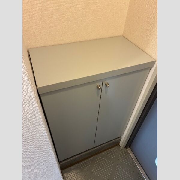 ハイムカメリア306号室 靴箱