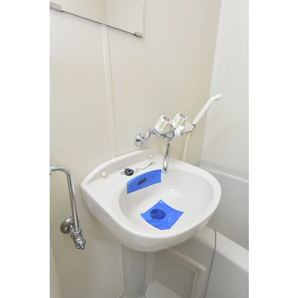 カーサ鵠沼 洗面