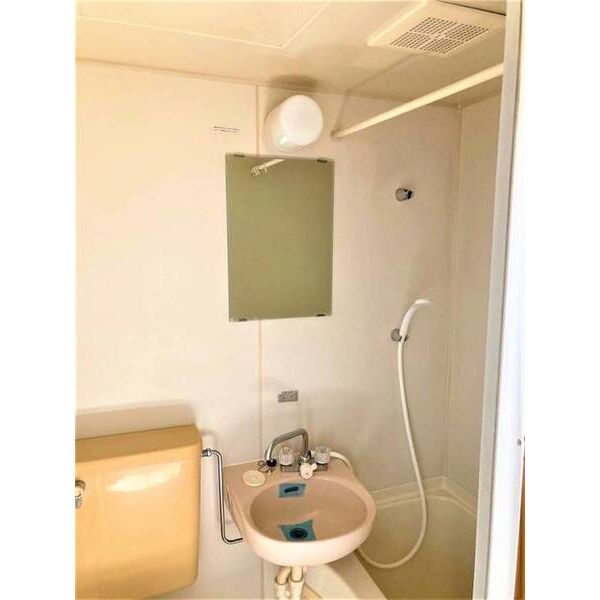 サンフラワーN0201号室 洗面