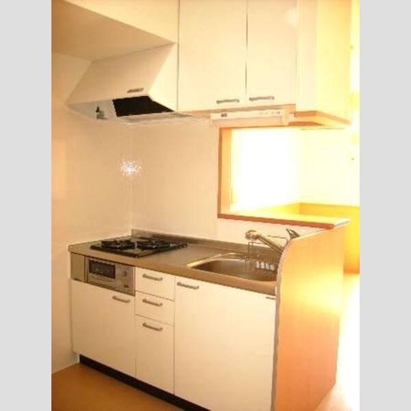 グランメール南台205号室 キッチン